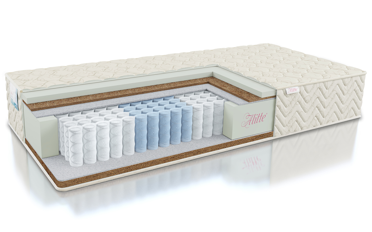 Alitte Classicus Rembrandt TFK MH-21-K