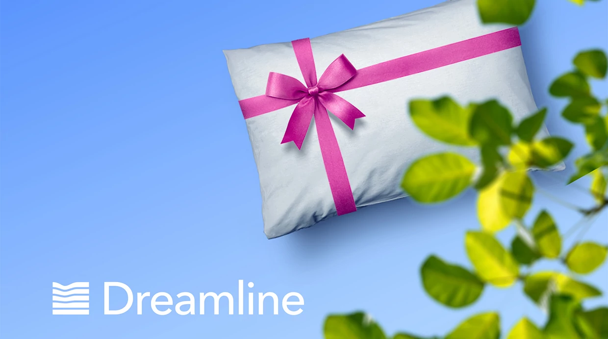 Подушка Dreamline в подарок